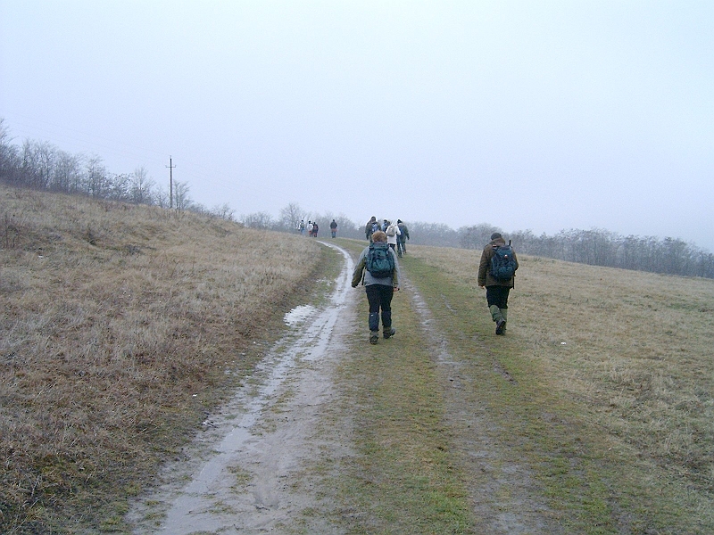 20100220 083.jpg